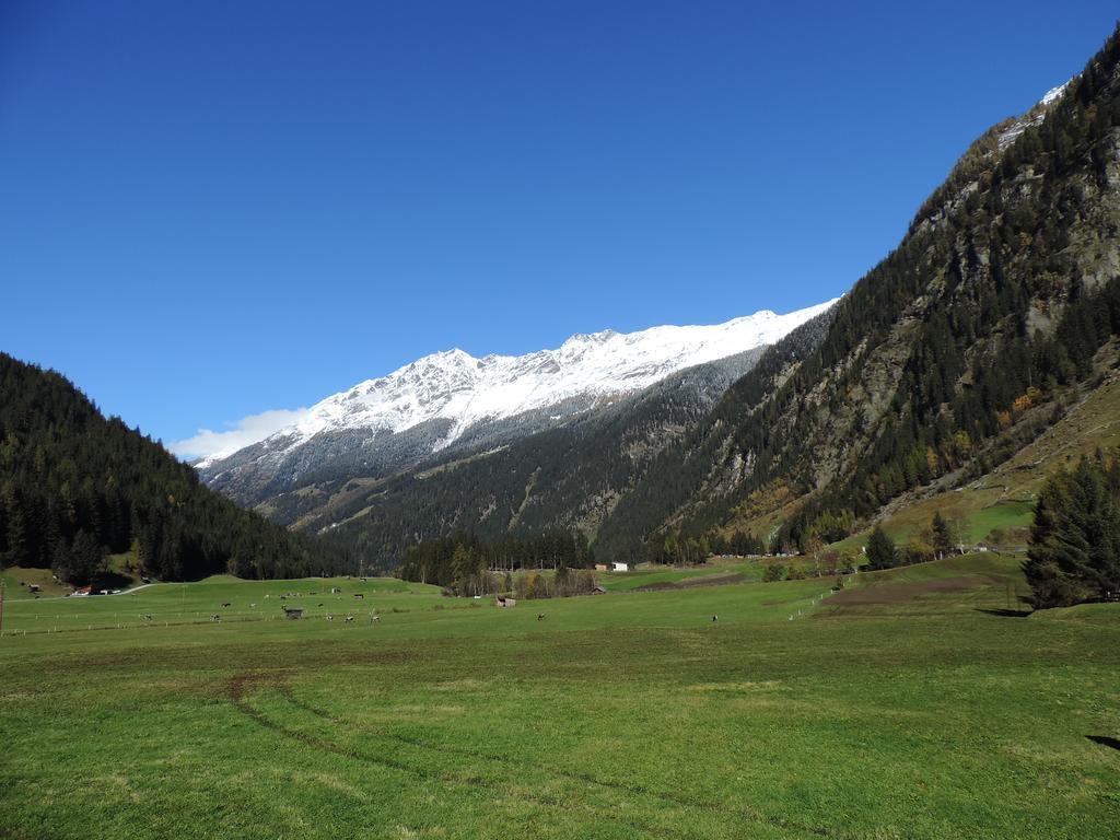 Aparthotel Haus Renate Kaunertal Pokoj fotografie